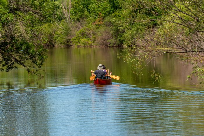 A Couple Paddling A Canoe On The River In Summer In Wisconsin